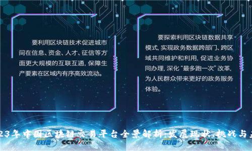 2023年中国区块链交易平台全景解析：发展现状、挑战与未来